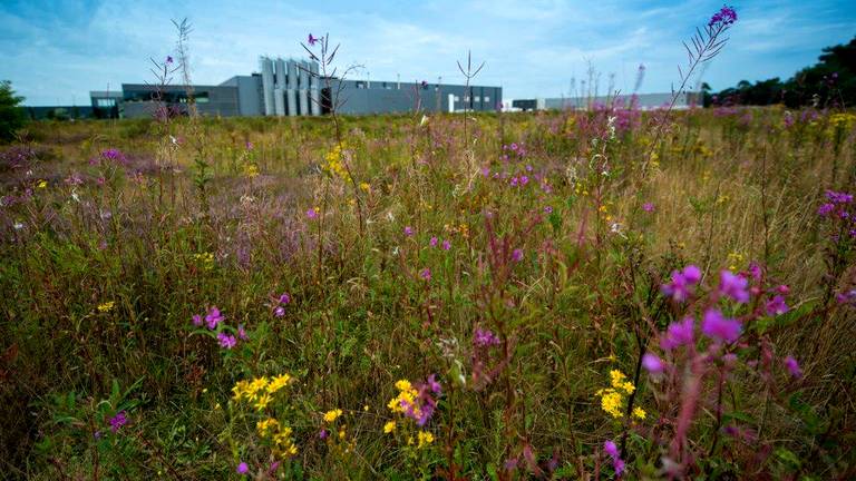 Het mag groener en daar is geld voor over.