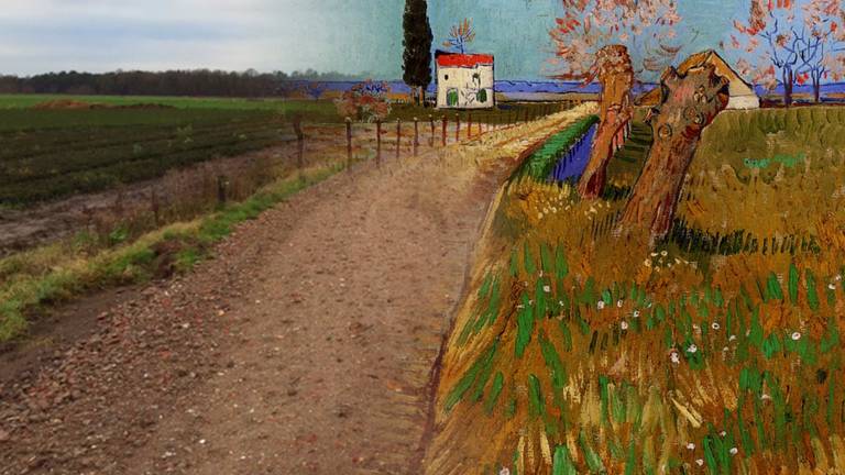 Zo had het er hier in de gemeente Zundert ongeveer uit gezien als Van Gogh het had geschilderd.
