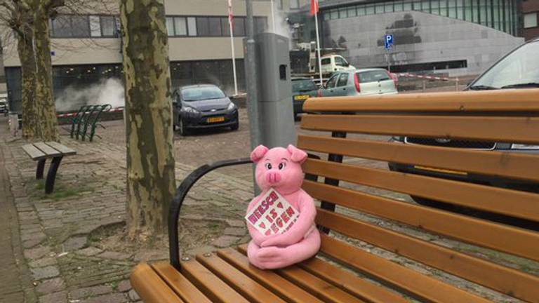 Eerder werd knuffelvarkentje achtergelaten voor een vreedzaam protest (foto: Emile Vaessen)
