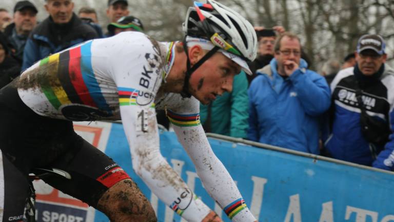 Mathieu van der Poel in actie (foto: Marjolein Bax/Omroep Brabant)