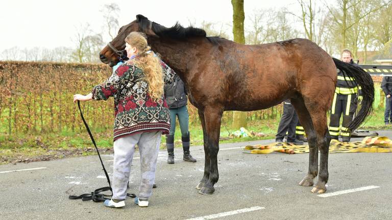 Omroep Brabant