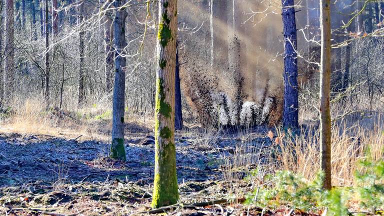 Omroep Brabant