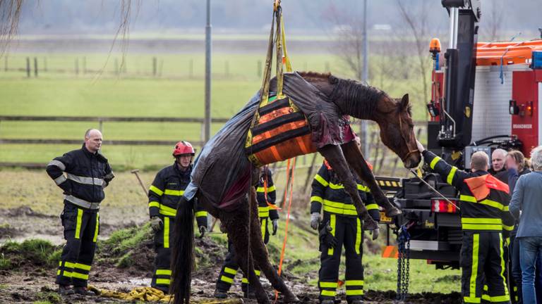 Omroep Brabant