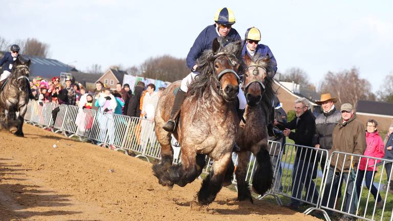 Omroep Brabant