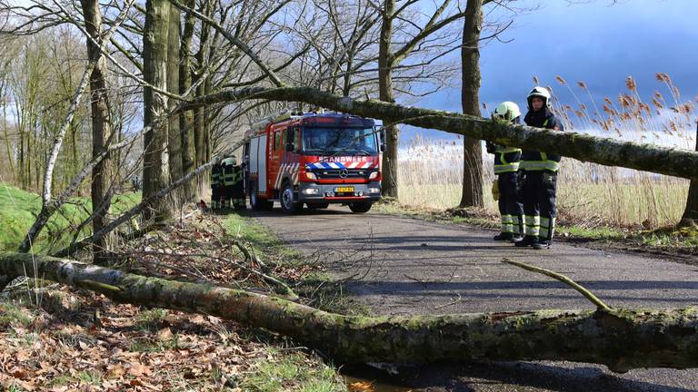 Omroep Brabant