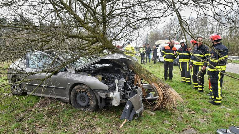Ravage op N269 in Hilvarenbeek. (foto: Toby de Kort/De Kort Media)