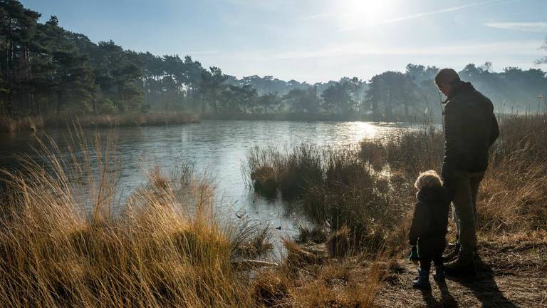 De Malpie. Foto: www.wandelkrant.nl