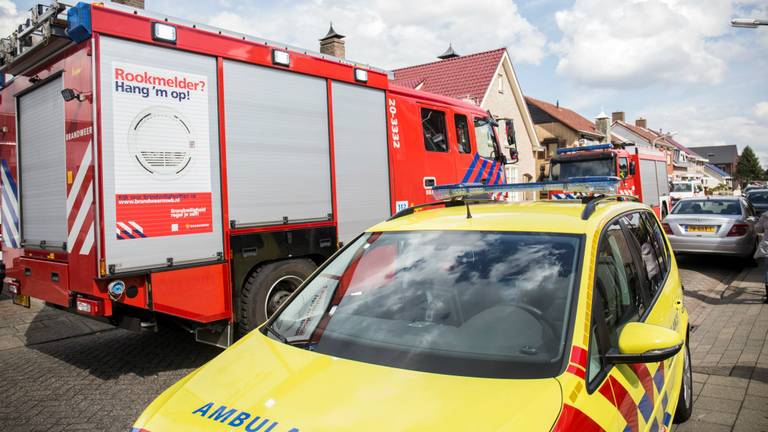 Foto: Alexander Vingerhoeds/Obscura