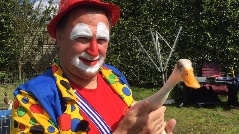 Clown Cornelio zoekt onderdak voor zijn eendjes