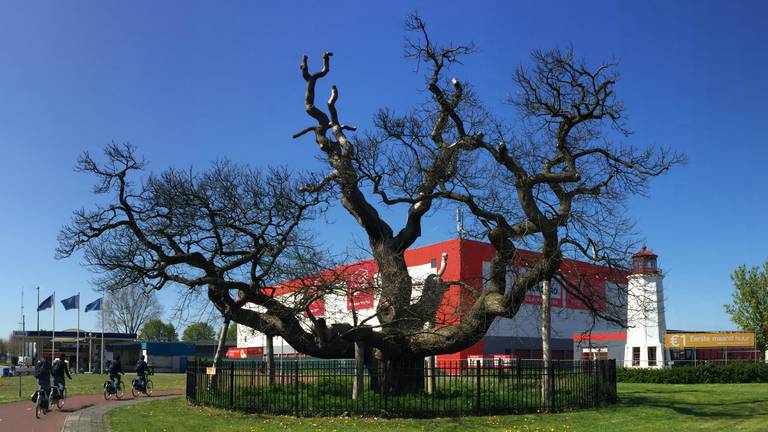 Omroep Brabant