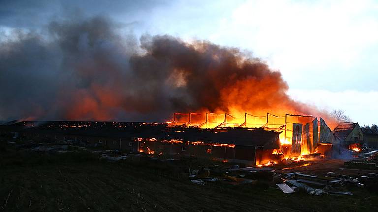 De stal is volledig verwoest door de brand (foto: SQ Vision/Sander van Gils).