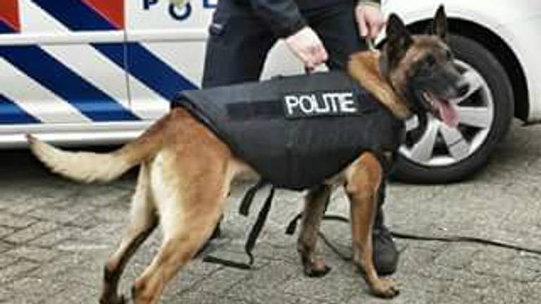 De politiehond beet van zich af. (Archieffoto)