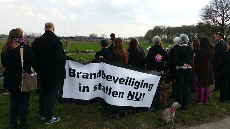 Ruim twintig uur na grote brand in Oirschot nog levende varkens in afgebrande stal