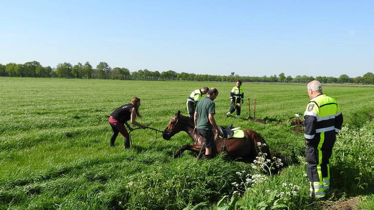 Omroep Brabant