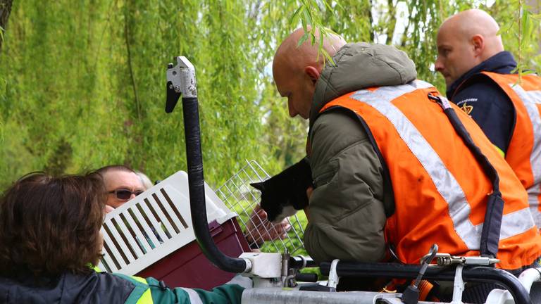De brandweer hielp het dier uit de boom. (Foto: Sander van Gils/SQ Vision0.