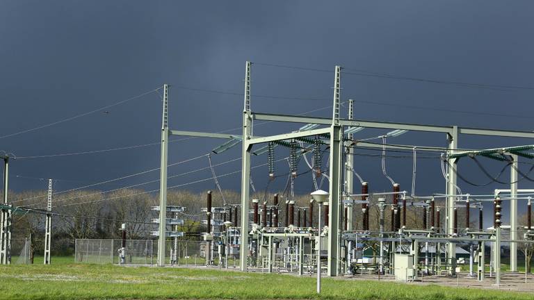 Duif veroorzaakt stroomstoring. (foto: Erik Haverhals/FPMB)