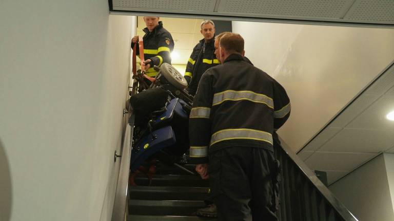 (foto: Anja van Beek/FPMB)