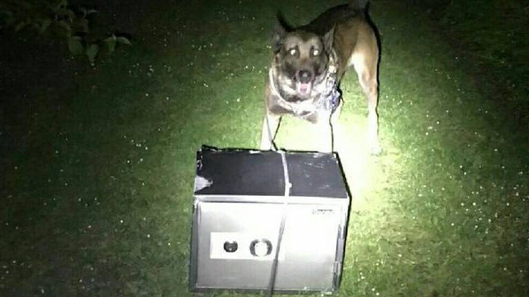 De politiehond vond de kluis terug in de bosjes. Foto: Twitter/@TSHOostBrabant