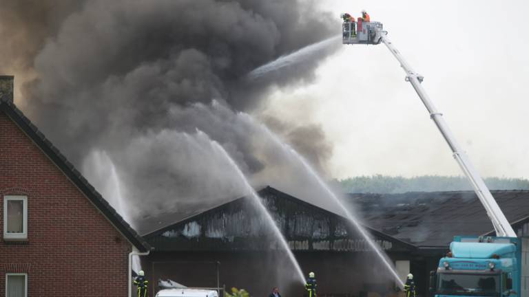 Tweeduizend varkens komen om in grote brand Kruisland