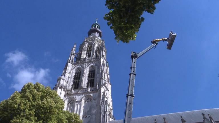 Toren van Grote Kerk in Breda krijgt flinke opknaptbeurt