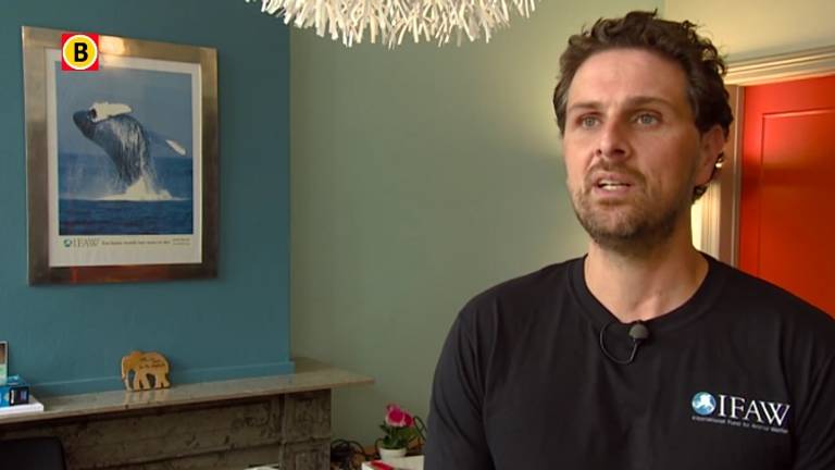 Woordvoerder van IFAW voor de camera's van Omroep Brabant