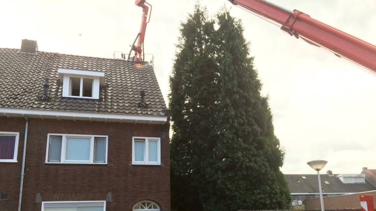 Omroep Brabant