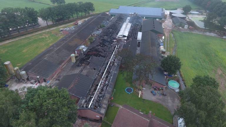 Veel varkens omgekomen door vlammenzee bij Erps varkensbedrijf