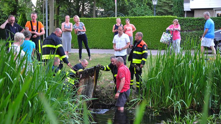 Foto: Marvin Doreleijers