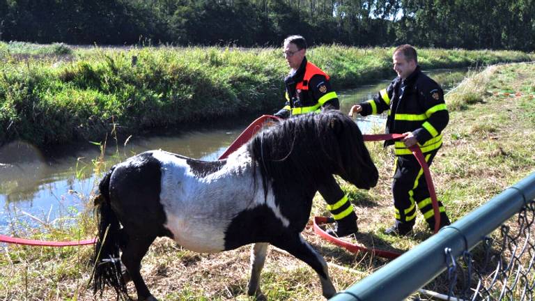Foto: Anthony Decock, Stuve fotografie