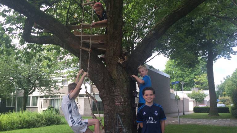 De buurtkinderen met hun geliefde boomhut voordat deze afgebroken werd.