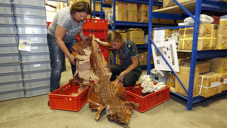 Er werden veel dierenhuiden meegenomen (foto: Gabor Heeres/SQ Vision)
