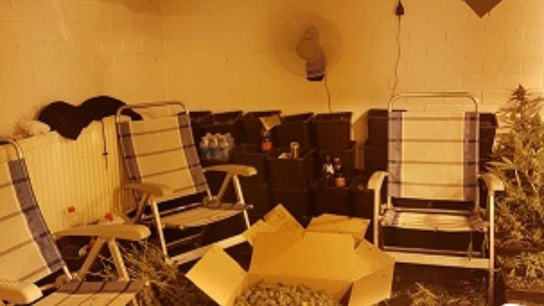 De politie trof een hennepkwekerij aan. (Foto: politie)