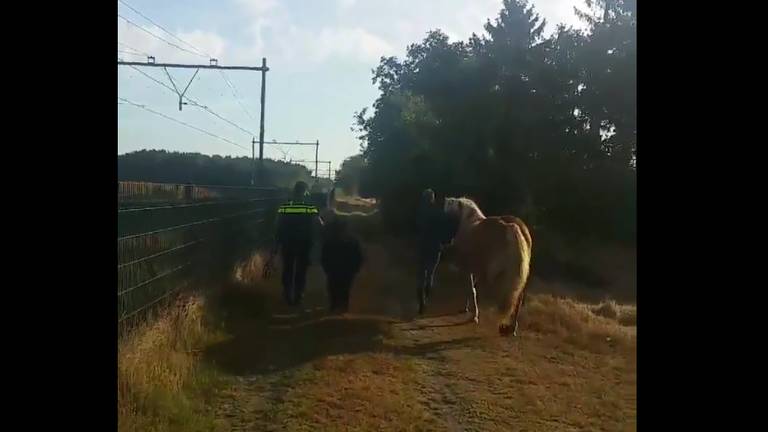 Foto: Erik Bertrums/Politie