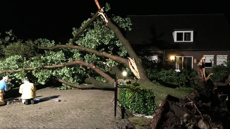 'Het leek wel oorlog', bewoners schrikken van omgevallen boom op huis