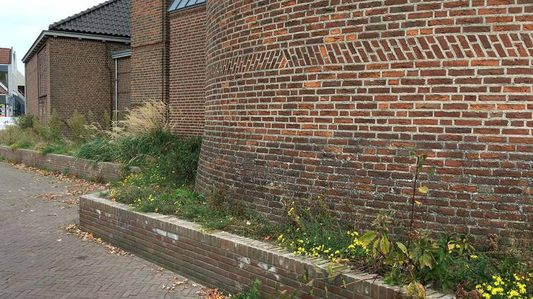 Vierlingsbeek baalt van onkruid rondom lege kerk