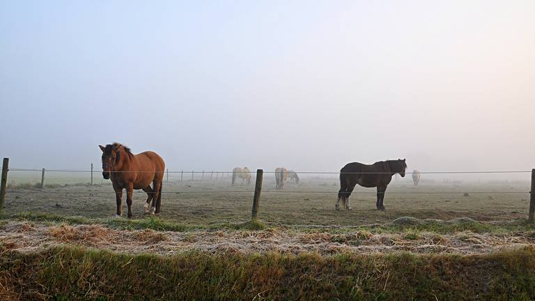 Omroep Brabant