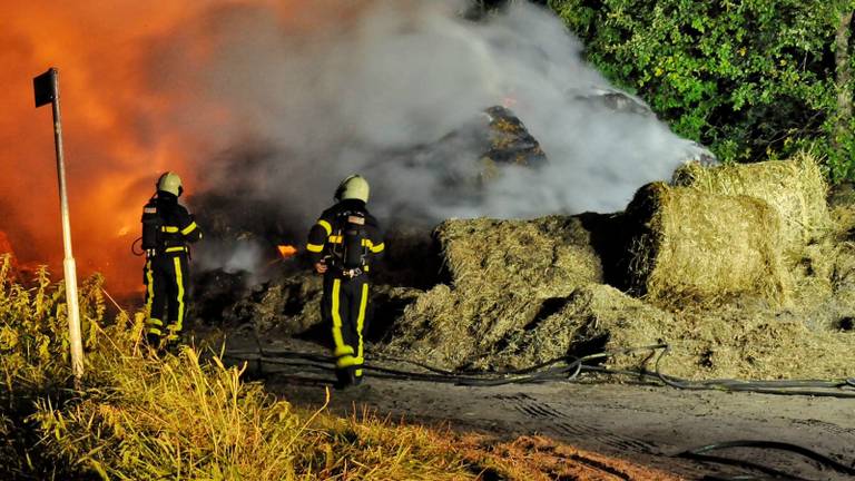 (Foto: Anthony DeCock/ De Kort Media)