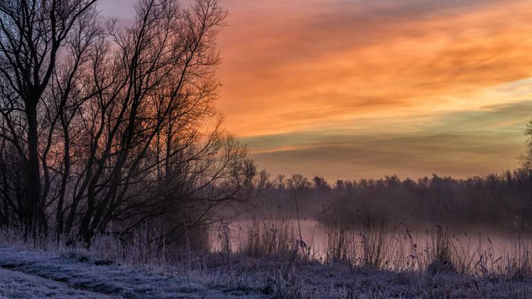 Grote verrassing voor Biesbosch: met wildcard bij mooiste natuurgebieden van Nederland