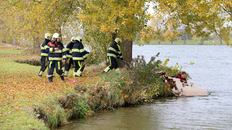 (foto: SK-Media)