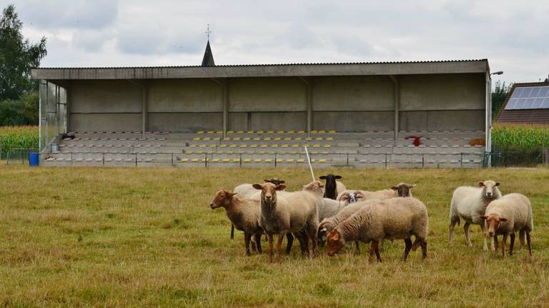 Omroep Brabant