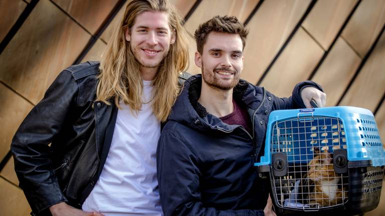 Toch geen poes bij dj’s 3FMin Glazen Huis in Breda (foto: ANP)