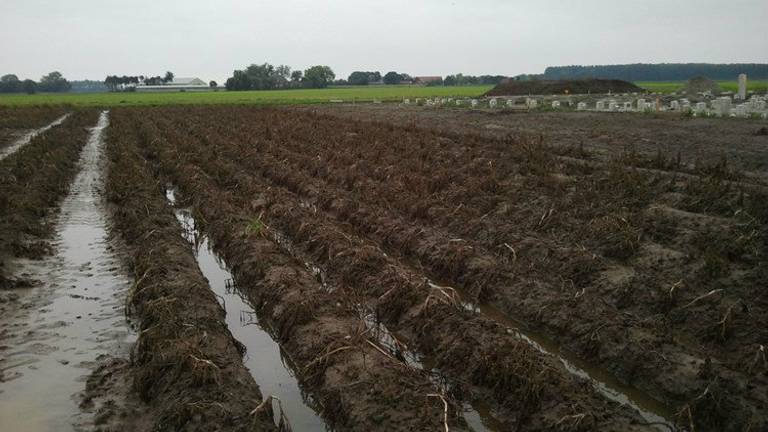 Veel nattigheid (foto: archief).