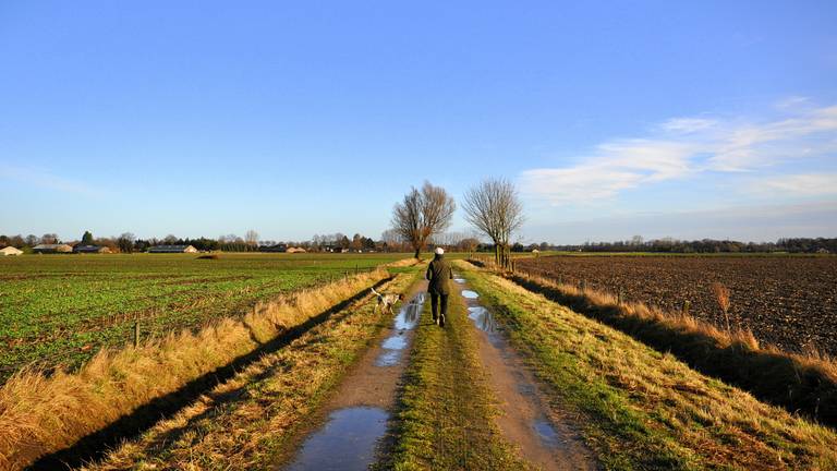 Tweede kerstdag. (foto: Ben Saanen)