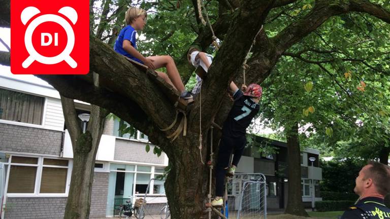 De oude boomhut in Tilburg