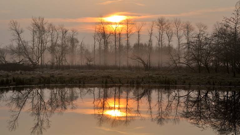 Omroep Brabant