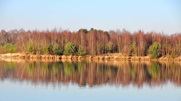Omroep Brabant