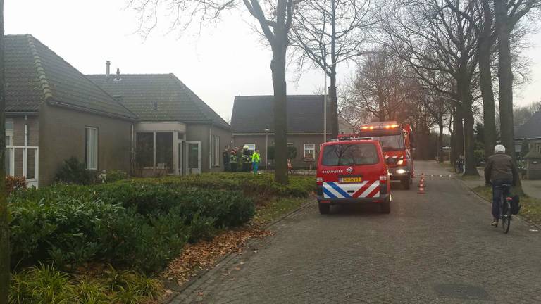 Foto: Roel Smits (SQ Vision).