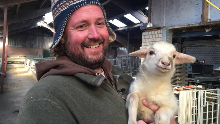 Eerste lammetjes geboren in Drunen