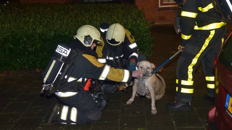 Omroep Brabant