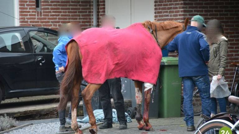 Omroep Brabant